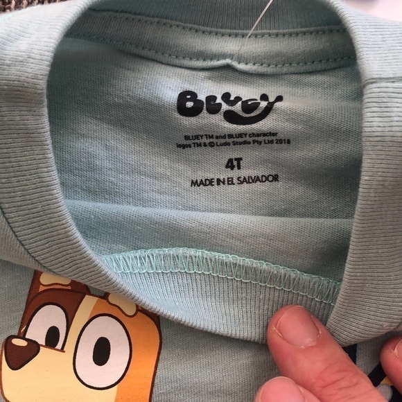 MOOSE Toddler Boy Girl Bluey Printed Short Sleeve T-Shirt Green 4T - Picture 6 of 8